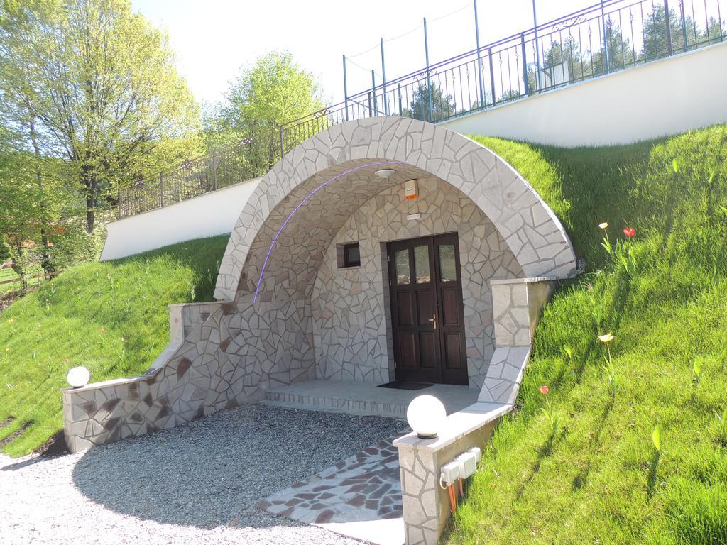 Mokus Panzio Bed & Breakfast Bicfalau Exterior photo